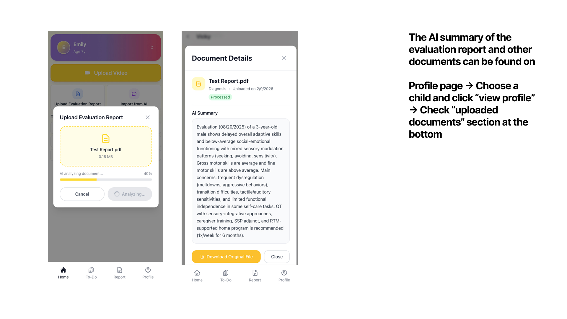 AI summary of evaluation report